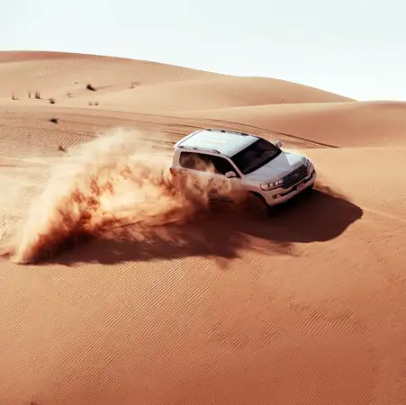 Desert Safari